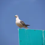 Easy4stay By Center Ii *