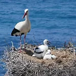 Easy4stay By Center Ii アパート