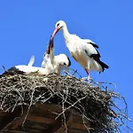 Easy4stay By Center Ii * ポルティマン