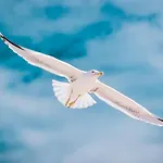 アパート Easy4stay By Center Ii