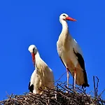 Easy4stay By Center Ii *