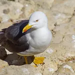 アパート Easy4stay By Center Ii ポルティマン