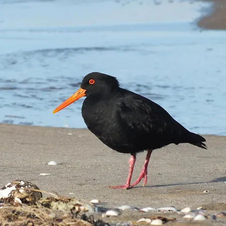 Easy4stay By Center Ii * Portimão