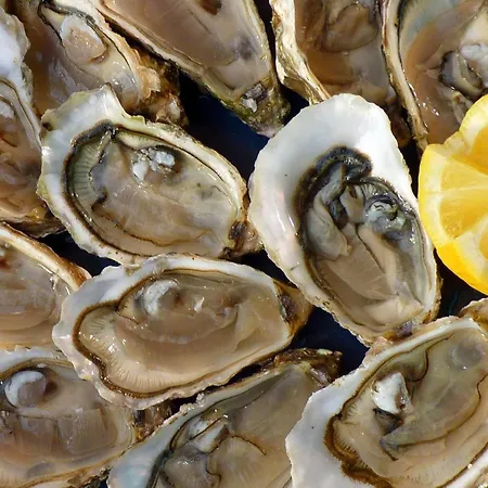 Appartement Easy4stay By Center Ii