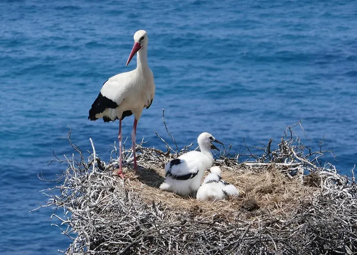 Easy4stay By Center Ii Appartement