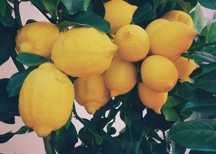 Easy4stay By Center Ii Appartement