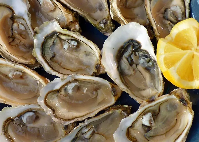 Appartement Easy4stay By Center Ii