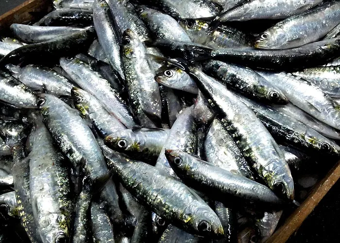 Easy4stay By Center Ii * Portimão